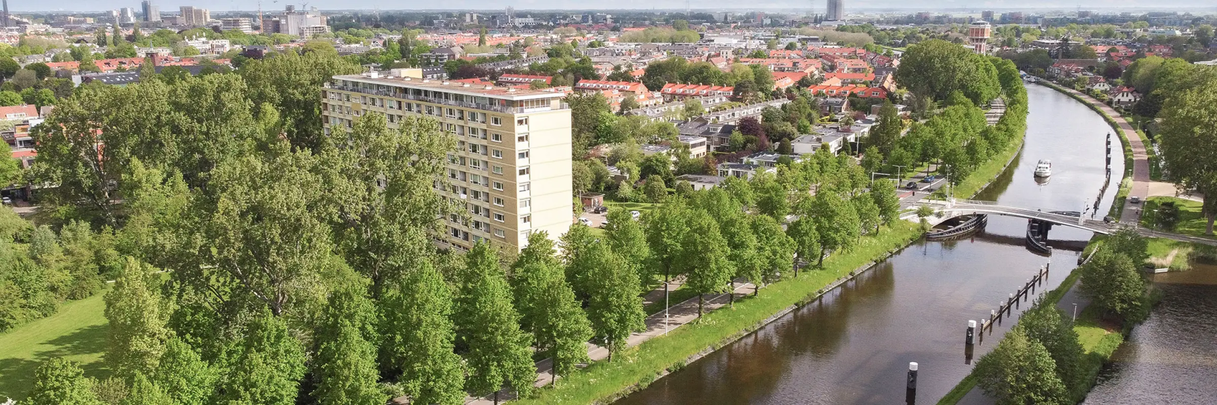 Professorenwijk, Burgemeesterswijk en Rijndijkbuurt