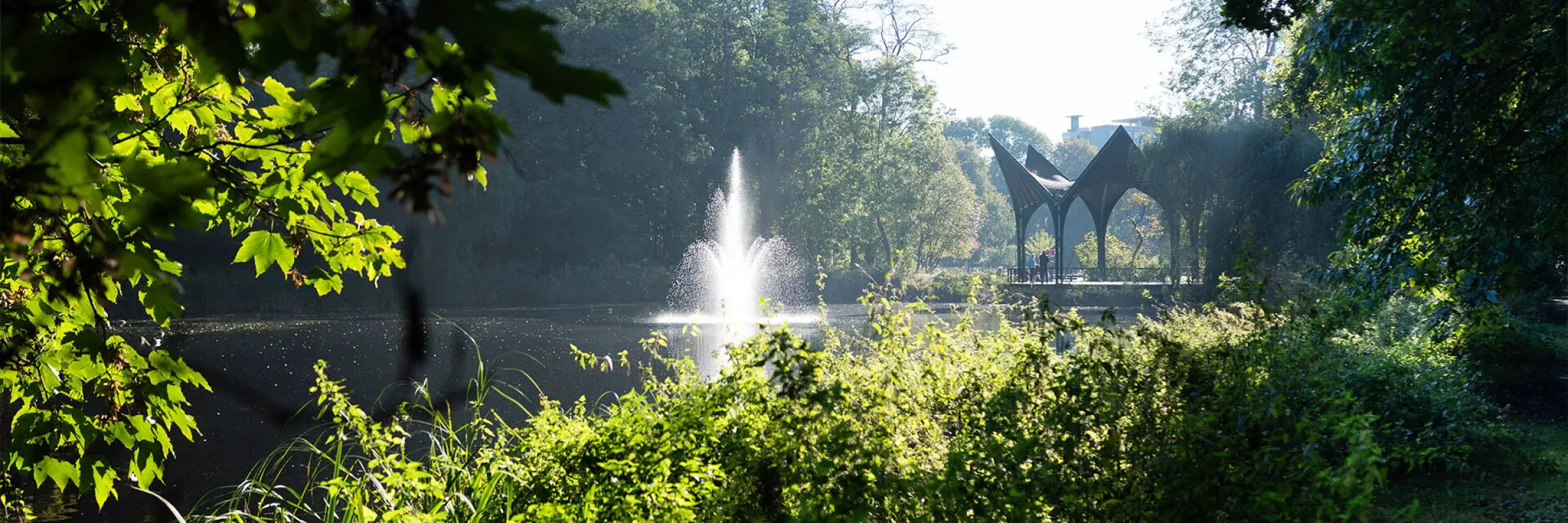 Het Boerhaavedistrict